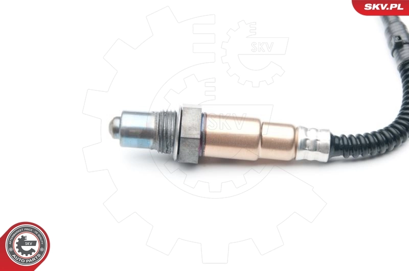 Oxygen Sensor